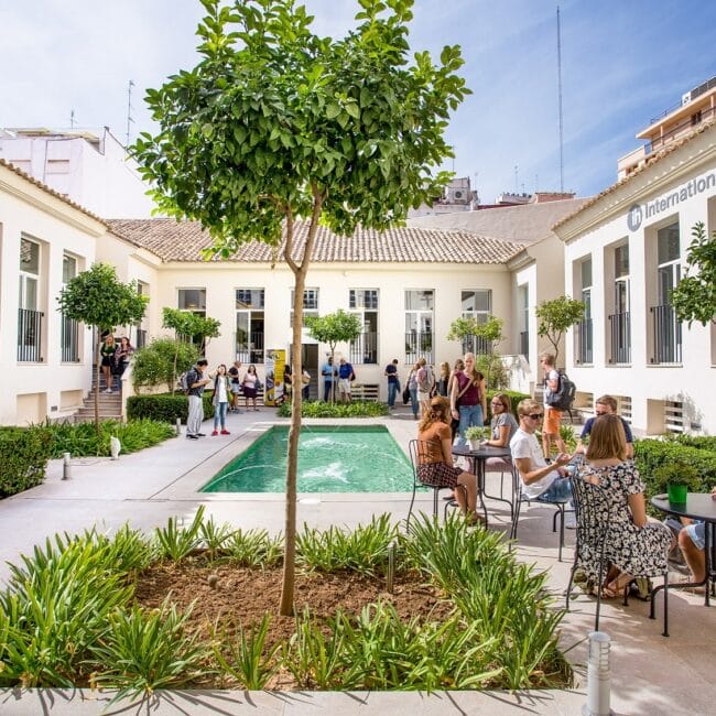 moovy-vacanza-studio-individuale-valencia-scuola 5