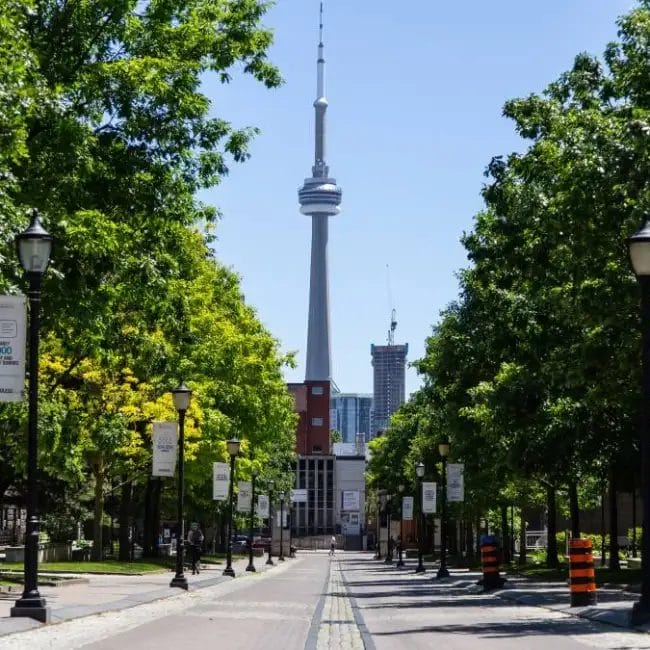 moovy-vacanza-studio-gruppi-toronto-school-scuola01