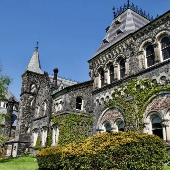 moovy-vacanza-studio-gruppi-toronto-school-scuola03